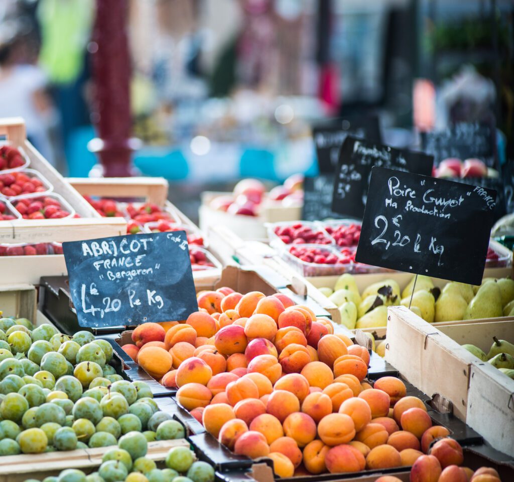 Visiter Pujols (Lot-et-Garonne) : Guide et Conseils du Manoir