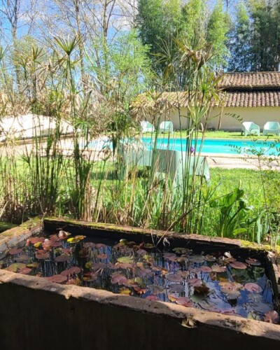 Vue sur la piscine du Manoir du Mouin de Madame