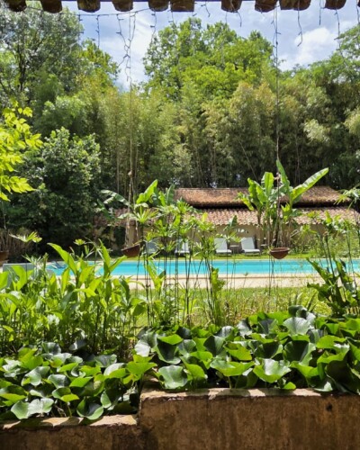 Jardin Piscine Le Manoir du Moulin de Madame